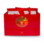 Shopping bag Paper Red (12.5 x 5.5 x 9.0 in) 103726